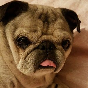 Meet your Posher, Colette